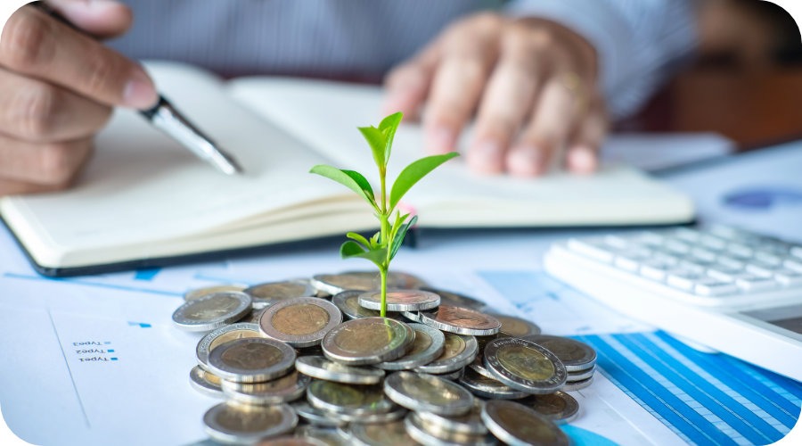 Corporate Investment Planning